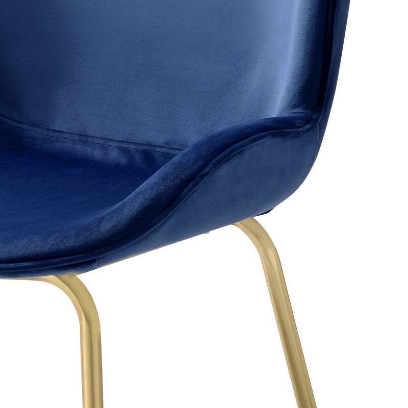 Chuchip Velvet & Gold Finish Side Chair