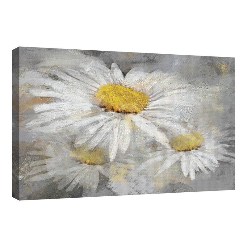 Daisy Portrait by Studio Arts Canvas Art Print