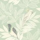 Option Mint and Ivory