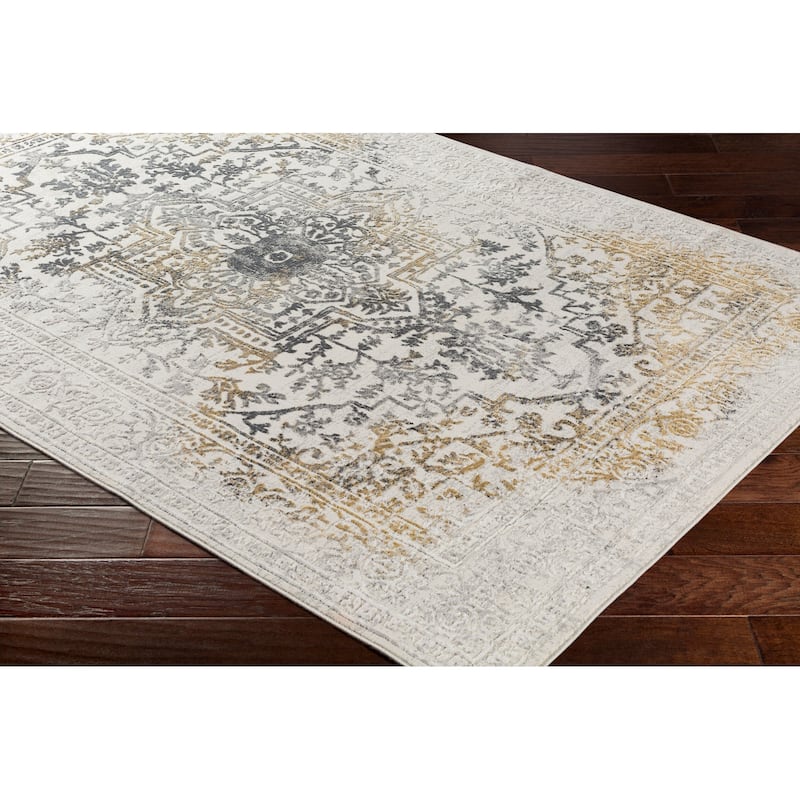 Livabliss Traditional Aisha Medallion Area Rug