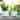 SET OF 2 Hiero Ceramic Footed Planters