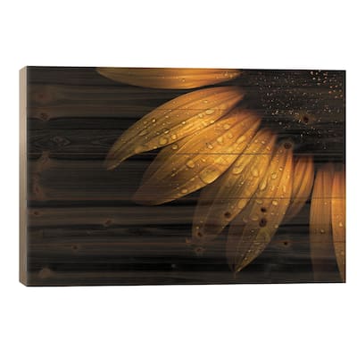 Sunflower Detail II Print On Wood by Brian Carson - Multi-Color