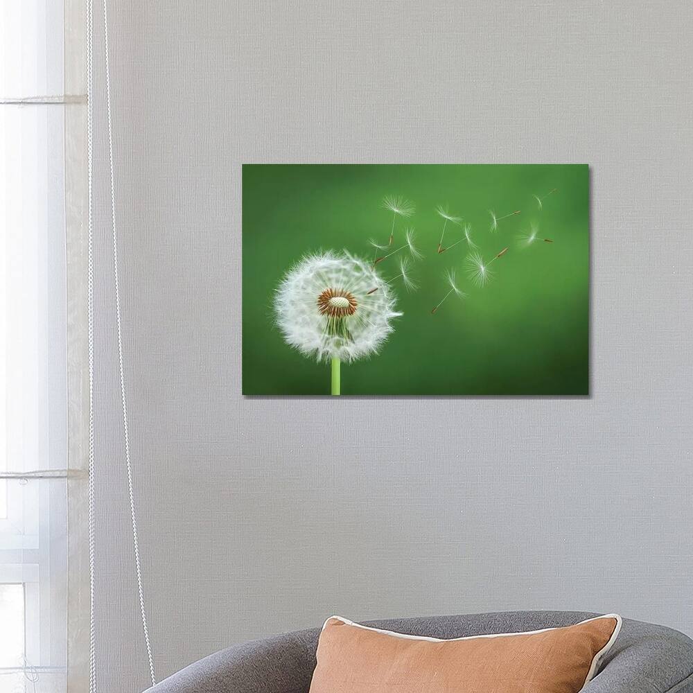 iCanvas "Dandelion Blowing II" by Bess Hamiti Canvas Print