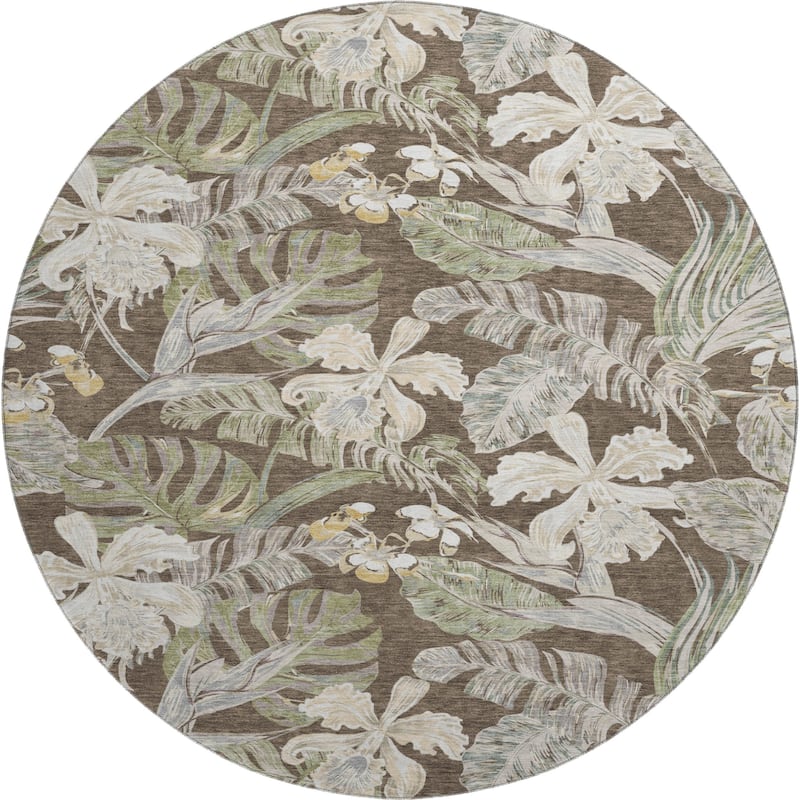 Premium Washable Super Soft Tropical Paradise Mayfield Rug