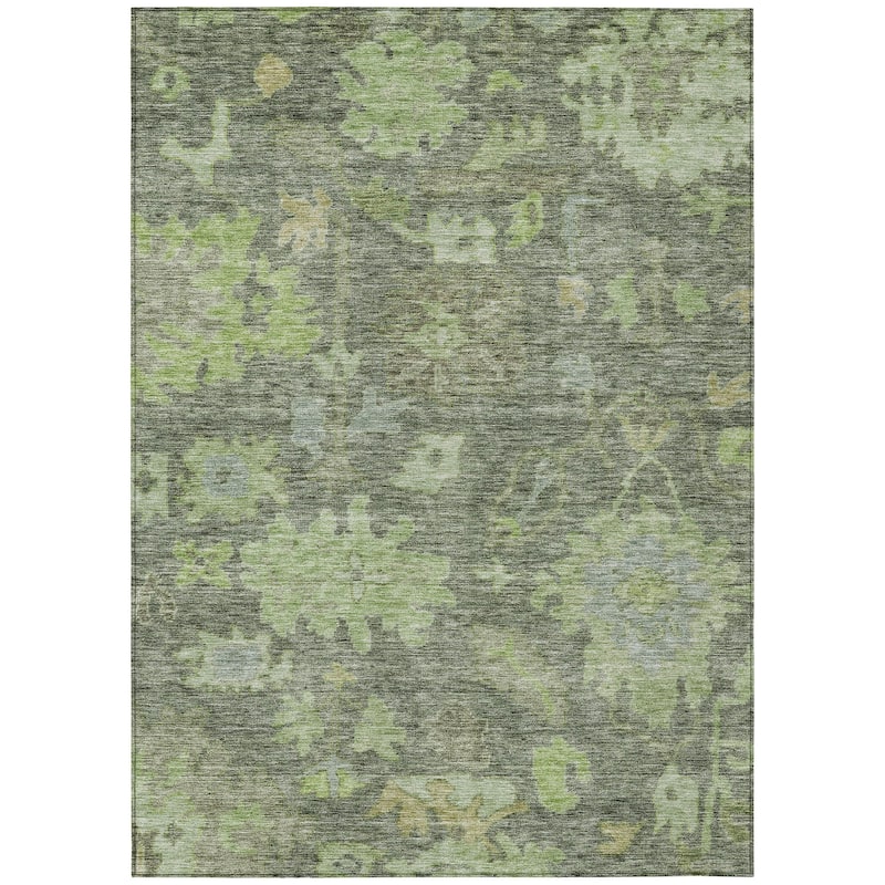 Machine Washable Indoor/ Outdoor Vintage Traditional Chantille Rug