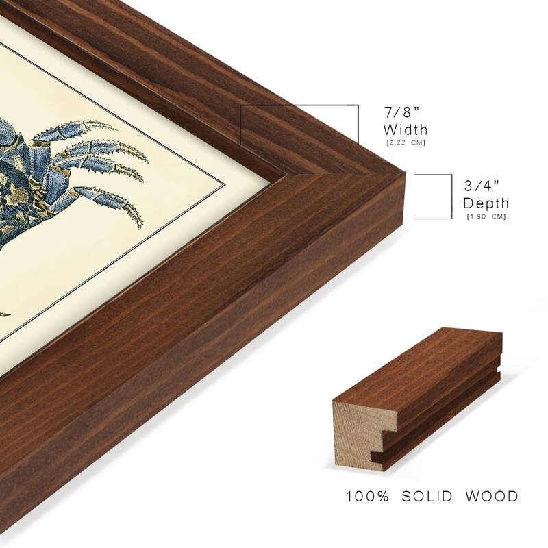 Antique Blue Crabs II -Framed Print w/glass-Cherry Red