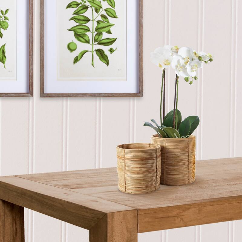 Cane Rattan Round Tree Baskets, Set Of 2