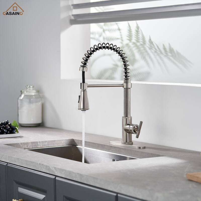 Single Handle Pull Down Sprayer Kitchen Faucet - Chrome/Clear
