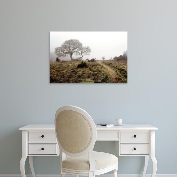 Easy Art Prints Alan Blaustein's 'Oak Tree #25' Premium Canvas Art