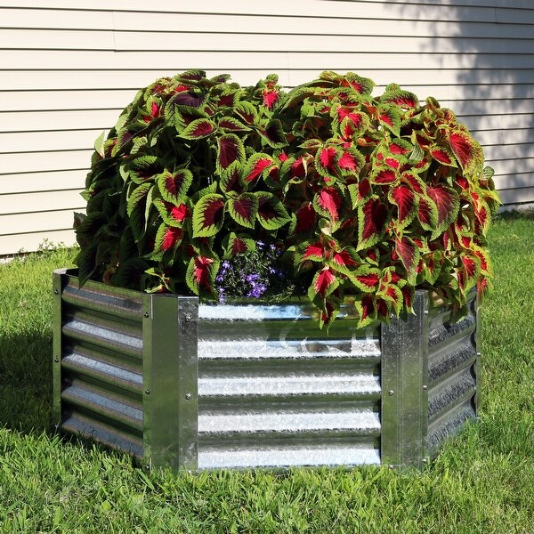 Shop Sunnydaze Galvanized Steel 40-Inch Hexagon Raised ...