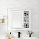 Option White