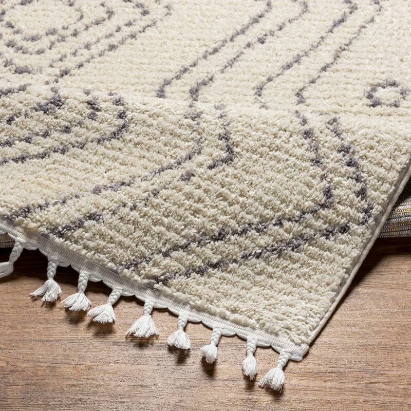 Mr. Kate Winston Boho Diamond Plush Area Rug
