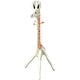 preview thumbnail 3 of 6, Discontinued Giraffe Clothes Tree