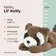 preview thumbnail 2 of 3, Bearington Explore 8" REILLY (RACOON)