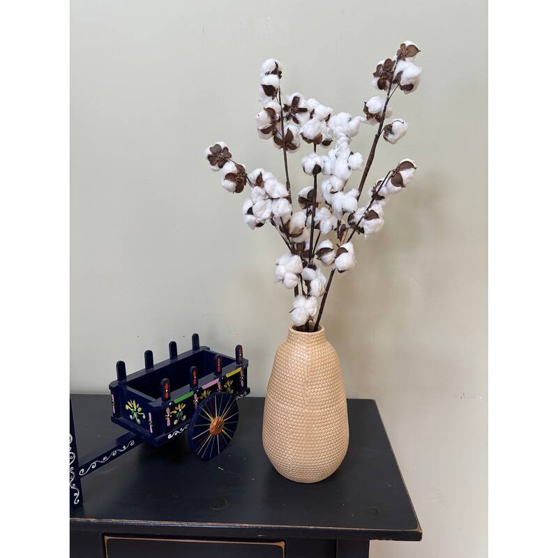 30" Cotton Spray, Set of 2 - Multicolor