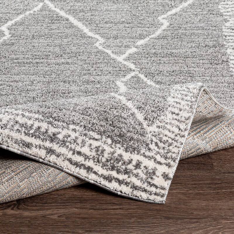 Livabliss Transitional Andorra Tribal Area Rug