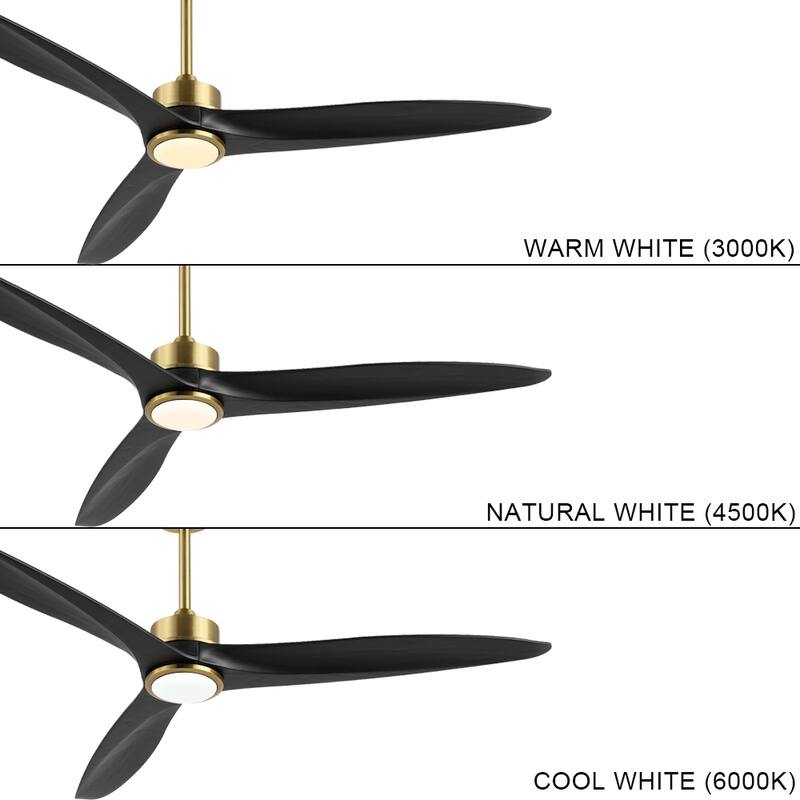 WINGBO 60 Inch DC Ceiling Fan with Lights and Remote Control, 3 Reversible Carved Wood Blades, 6-Speed Noiseless DC Motor
