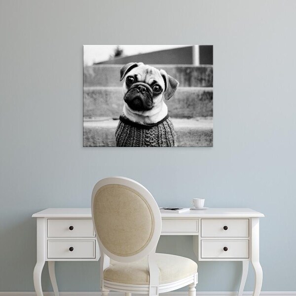 Easy Art Prints Kim Levin's 'Cleo' Premium Canvas Art