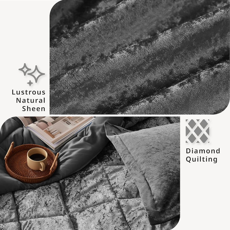 Intelligent Design Isabel Velvet Comforter Set