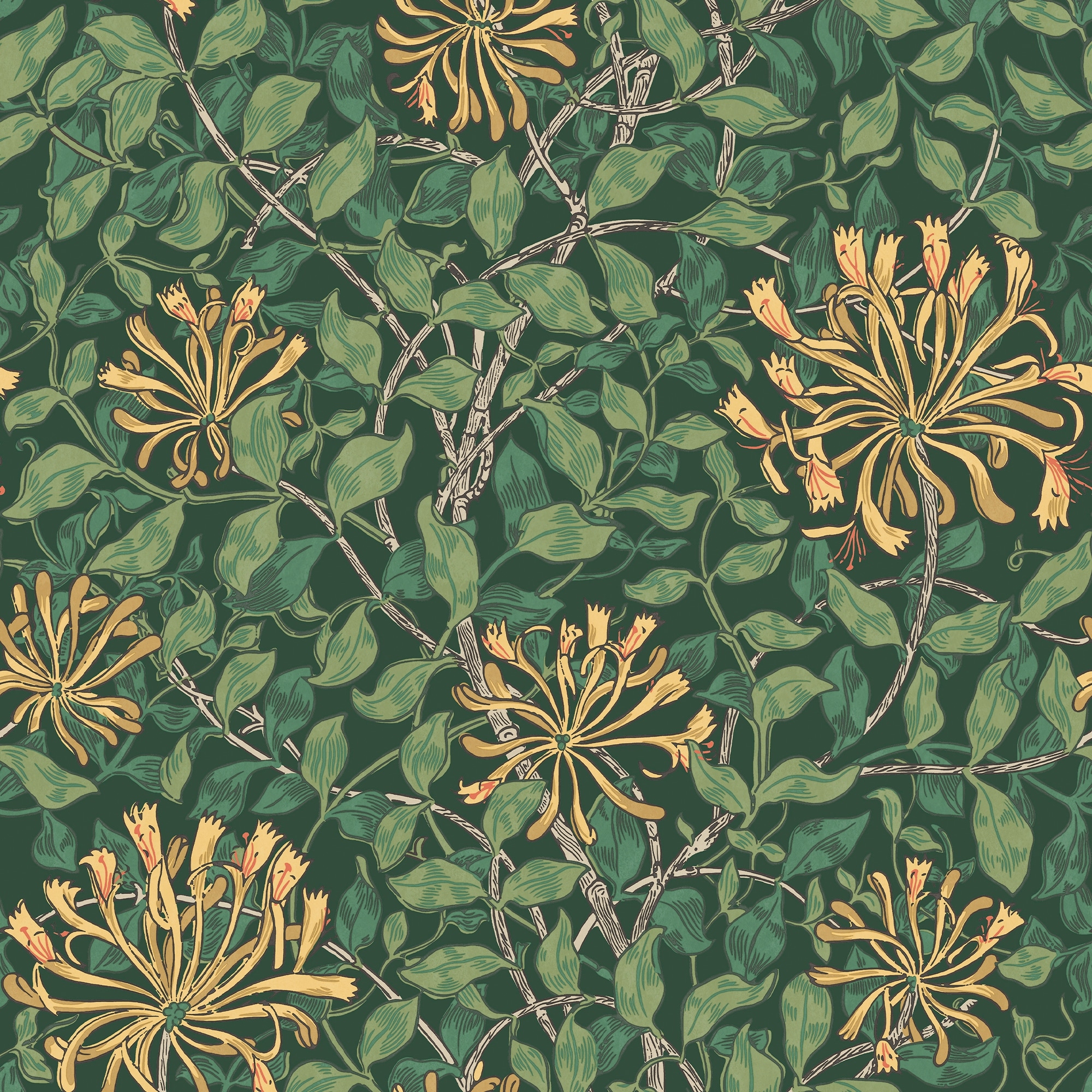 William Morris Honeysuckle Verde Wallpaper