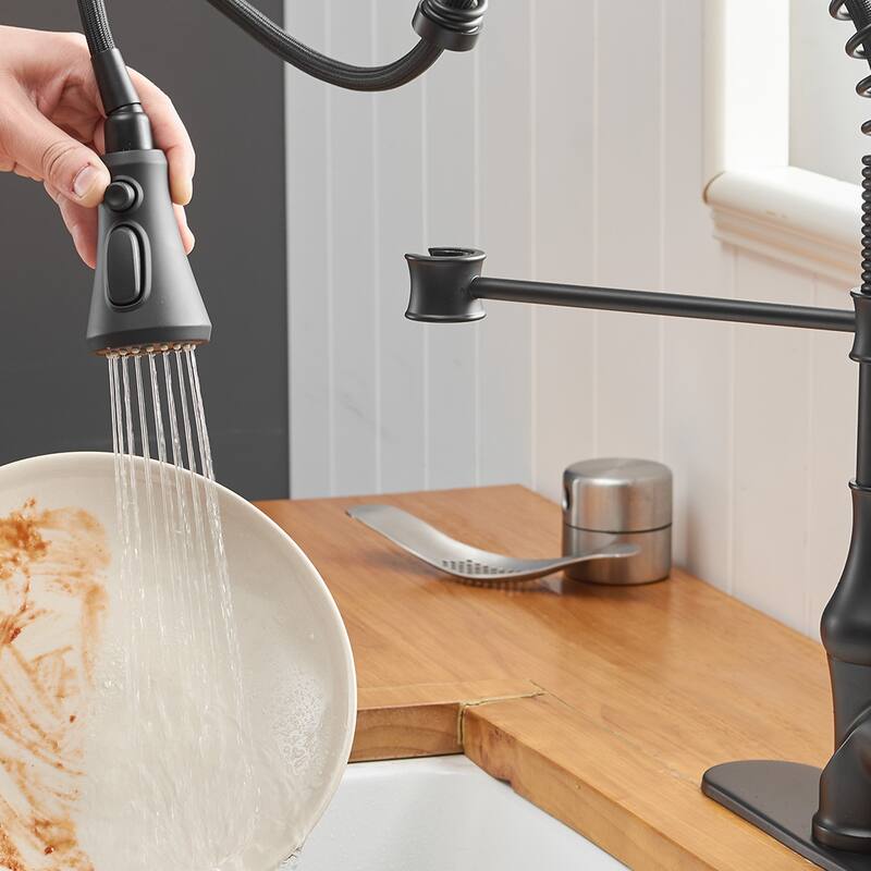 WIZ Single-Handle Pull-Down Sprayer 3 Spray High Arc Kitchen Faucet