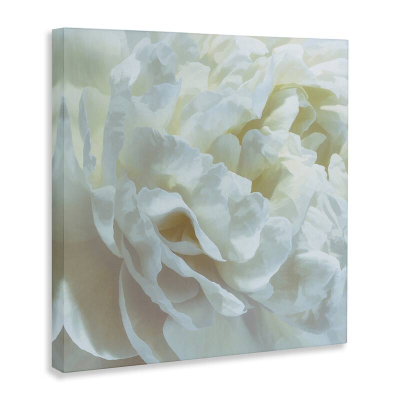 Stupell Elegant White Petals Canvas Wall Art Design By David Pollard