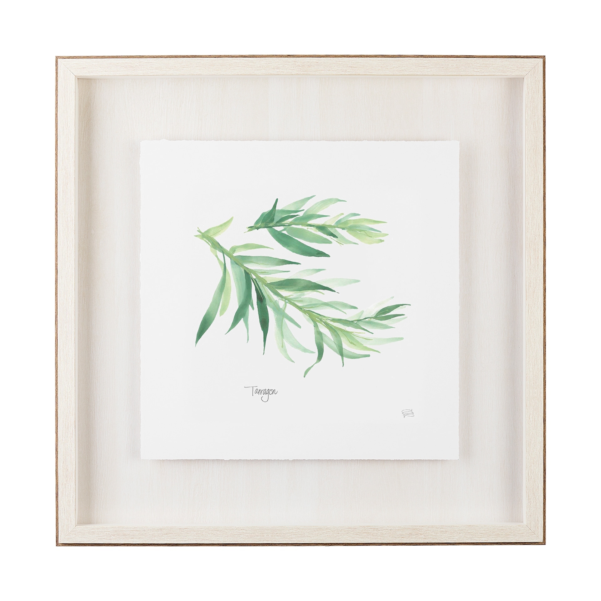 Mercana Tarragon v2 by Chris Paschke a Framed Art Print Matted under Glass