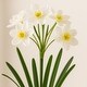 preview thumbnail 5 of 3, HomeStock Paper Whites in Glass Jars in Metal Holder - Vintage Faux Floral Set for Charming Décor - 14