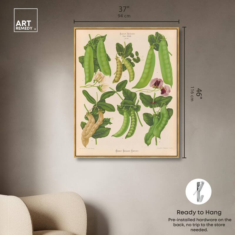 Podded Peas from Benary 1876 Canvas by Art Remedy