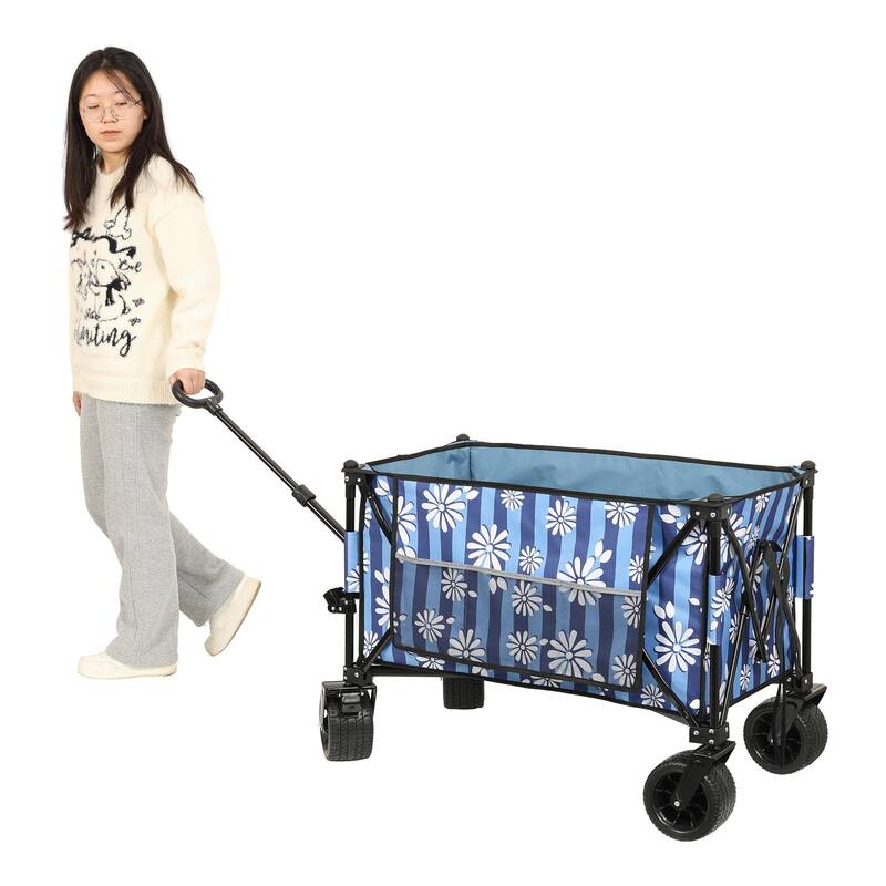 Collapsible Trolley with Strapping System