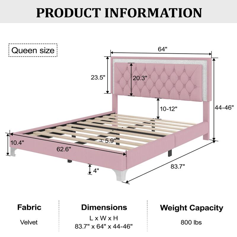 Queen Size Upholstered Bed Frame with LED Lights, Modern Velvet Platform Bed with Tufted Headboard, Pink