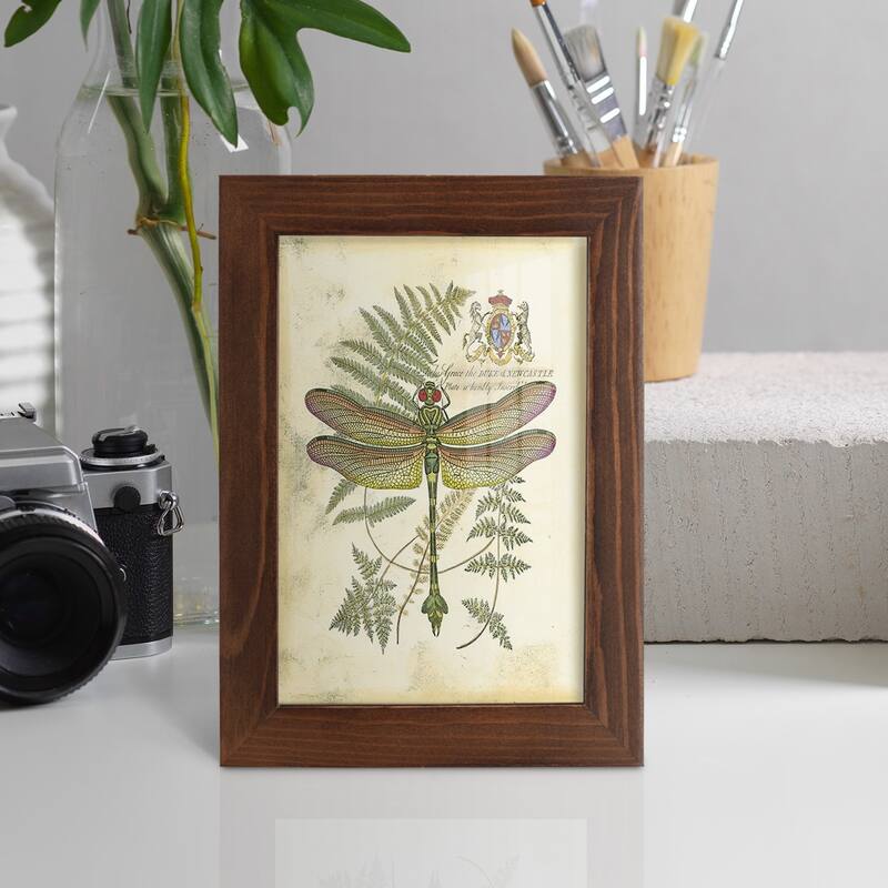 Regal Dragonfly III (PP) -Framed Print w/glass-Cherry Red