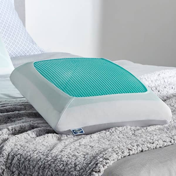 https://ak1.ostkcdn.com/images/products/is/images/direct/01bab6494b2e61d59091c882b10e301f6b15b846/Sealy-Essentials-Cooling-Gel-Memory-Foam-Pillow.jpg?impolicy=medium