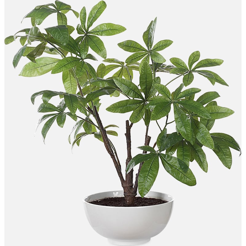 Uttermost 60225 Pachira Money 34-1/2" Tall Ceramic Faux Flora Planter