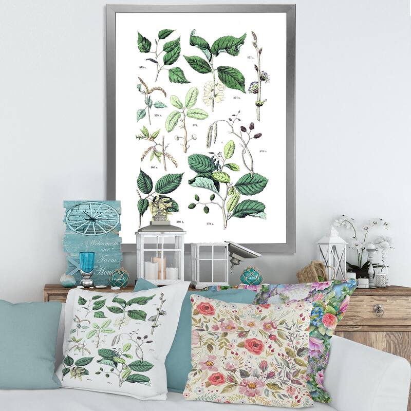 Designart "Vintage Botanicals VIII" Traditional Framed Art Print - 12 In. Wide x 20 In. High - Silver