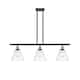 Option Clear / Black Antique Brass