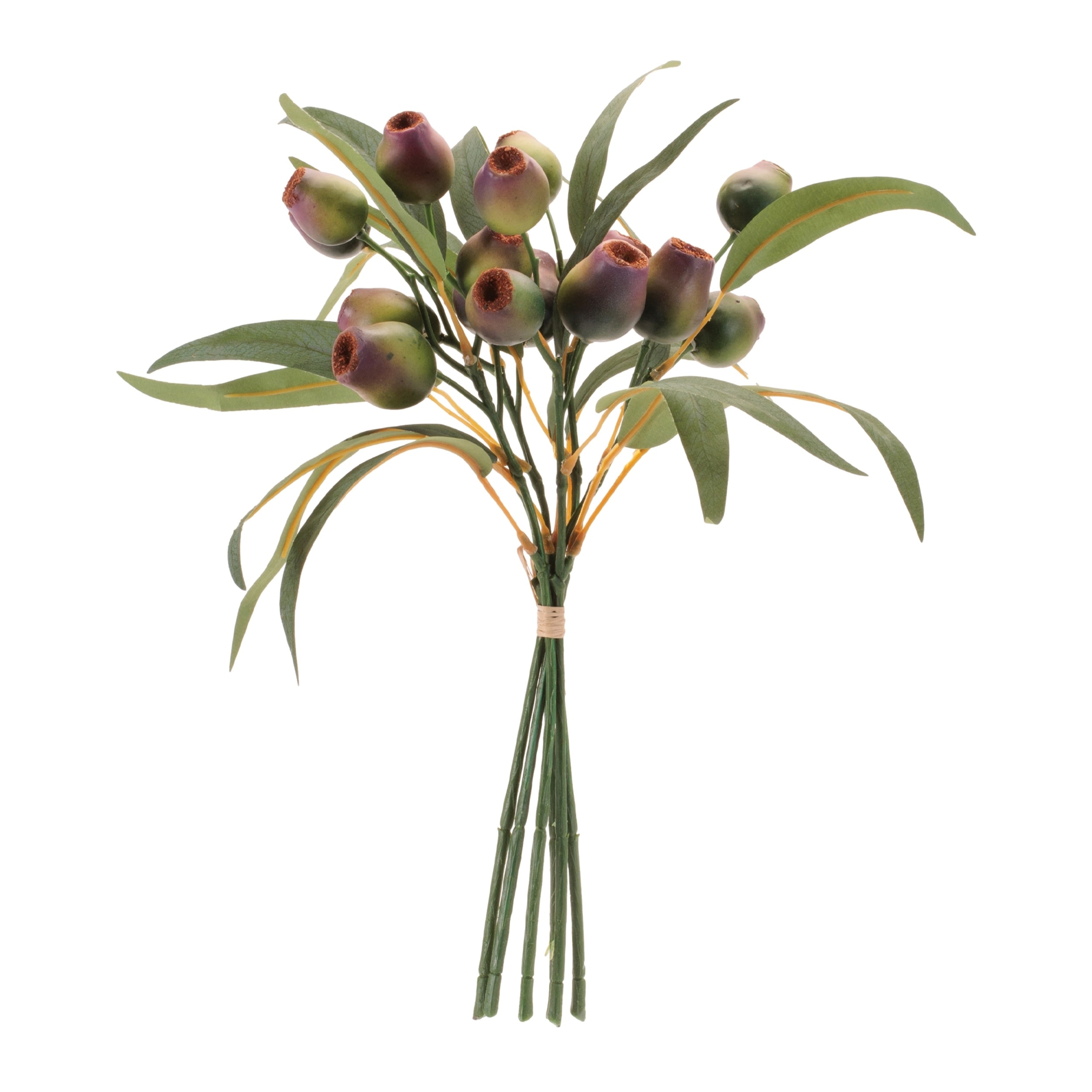 Pod Foliage Bundle (Set of 6)