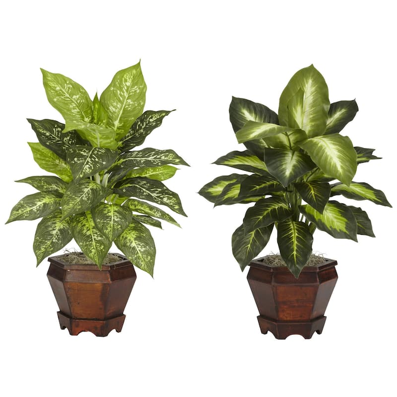 Silk Dieffenbachia Plant Set - 2 Artificial Plants with Wood Vase - Home Decor - 1.71ft.