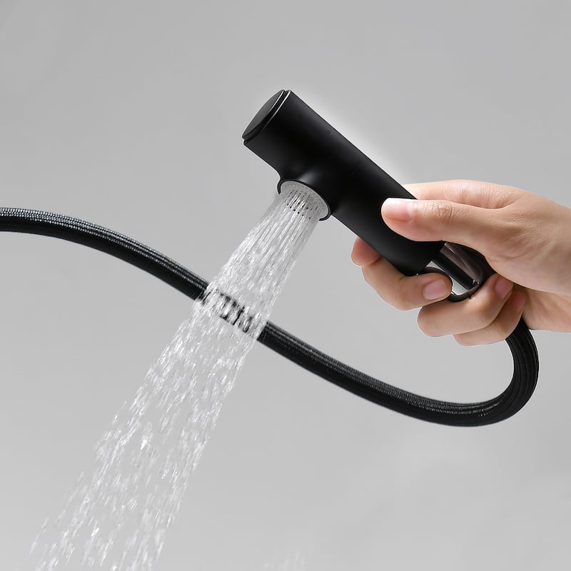 Pull Out Swivel Single Hole Bathroom Faucet