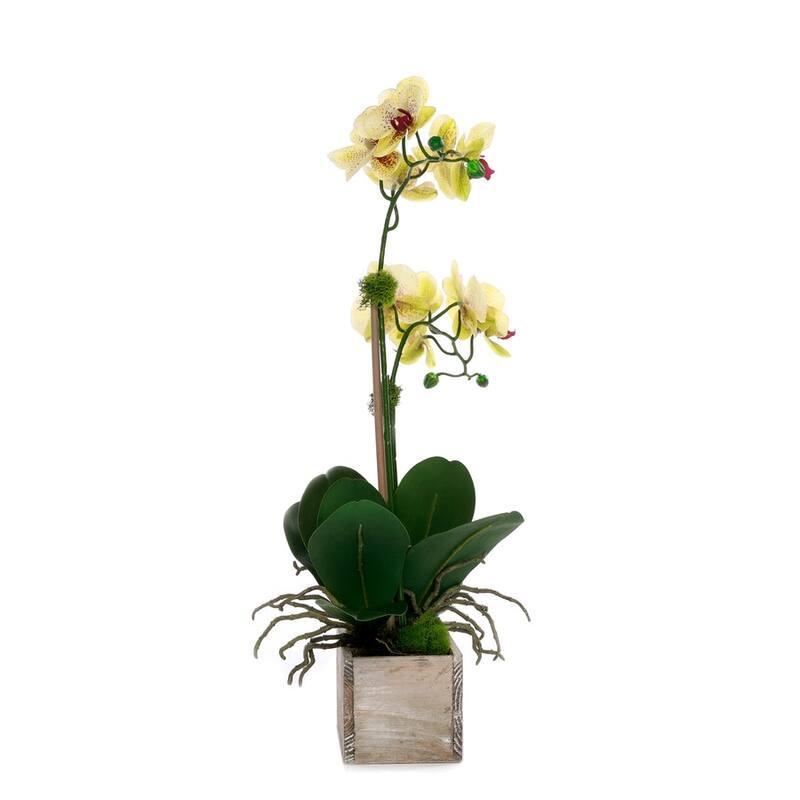 Yellow Real Touch Orchid Flower Arrangement in White Rectangular Pot