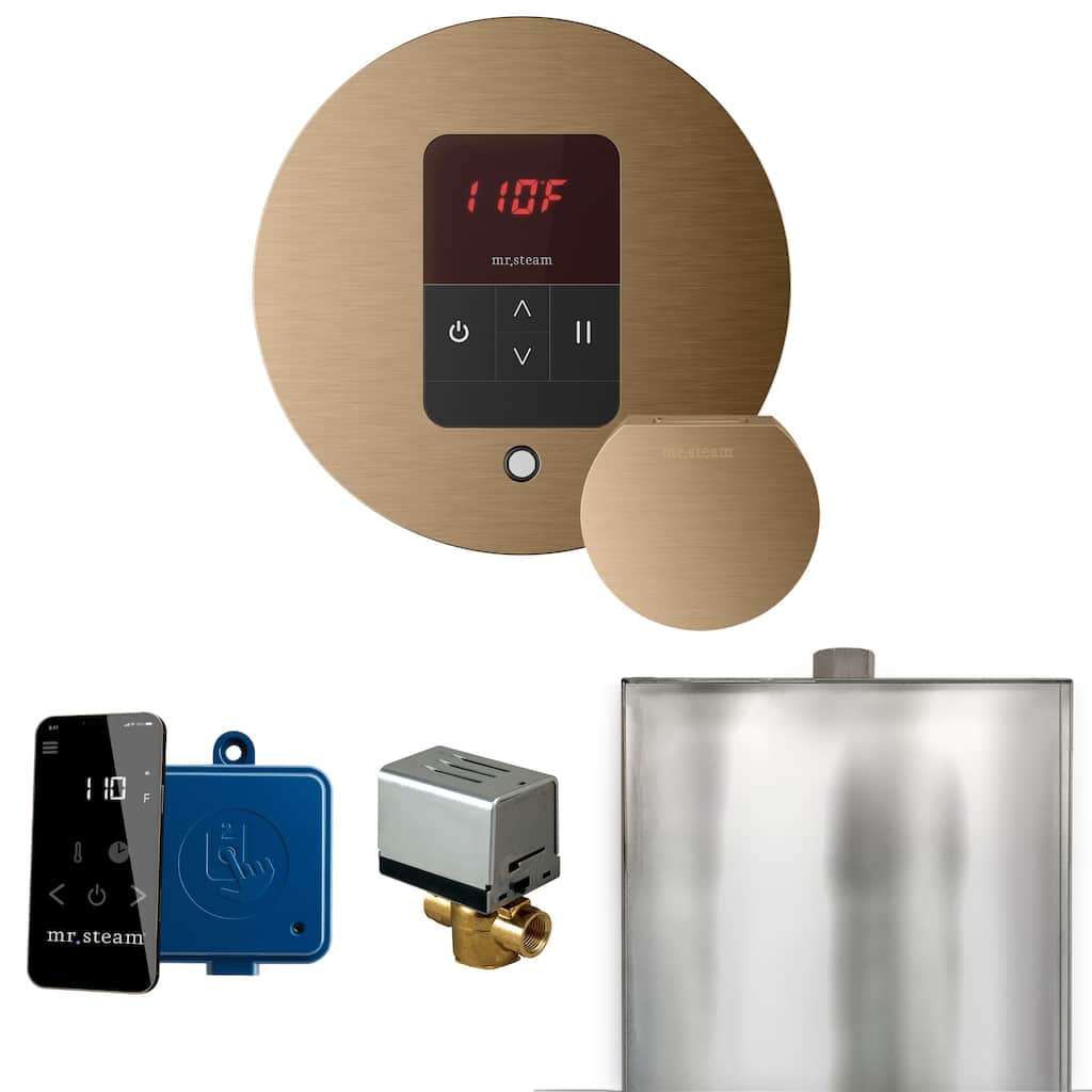 Mr Steam BBR Basic Butler Package Steam Shower Control Package with