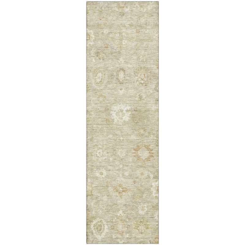 Premium Washable Super Soft Vintage Traditional Mayfield Rug