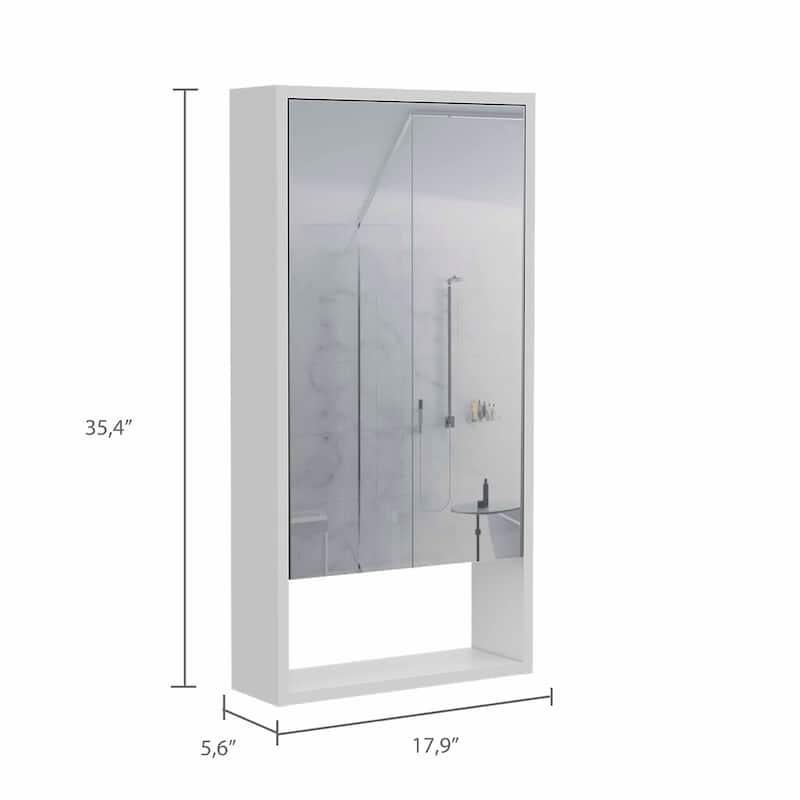 Burlington Rectangle Medicine Cabinet with Mirror