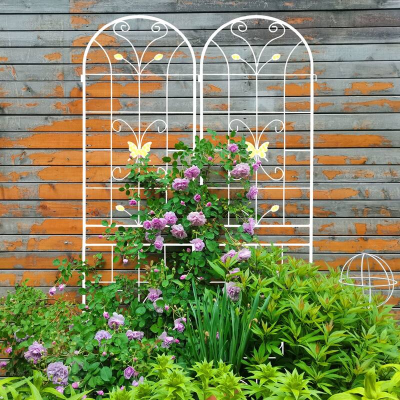 2 Pack Metal Garden Trellis