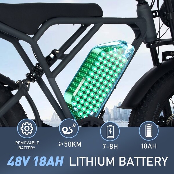 HITWAY 750W, 48V, 18Ah Electric Bike with 20*4.0 Inch Fat Tire