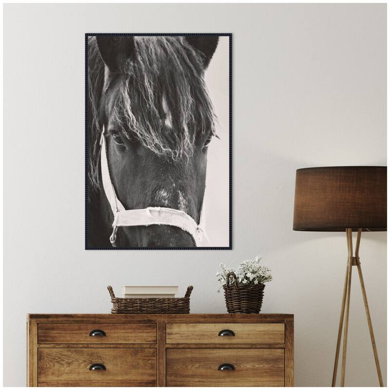 Kate and Laurel Black Horse by Emiko and Mark Franzen F2 Images Framed Canvas Wall Art Print