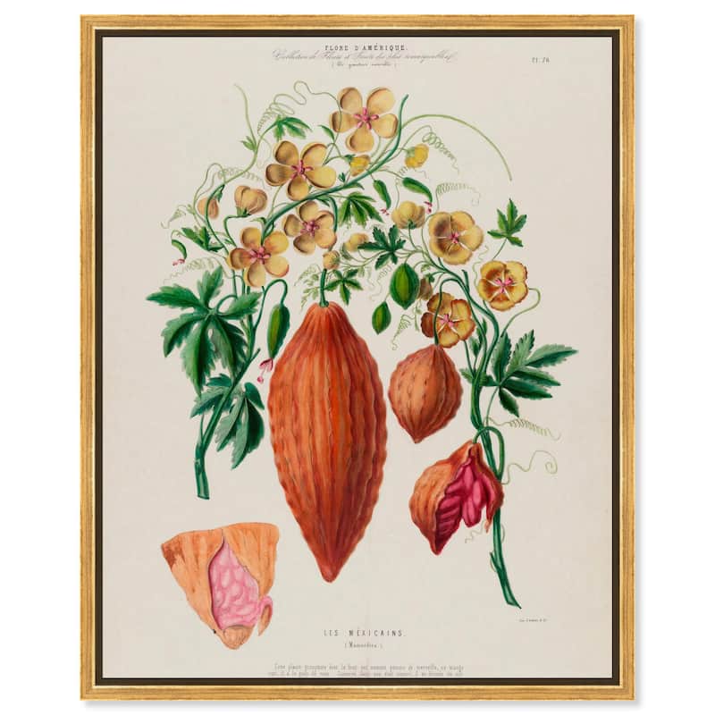 Momordica Exotic Floral Flore Canvas by Art Remedy - Gold - 20" x 24"