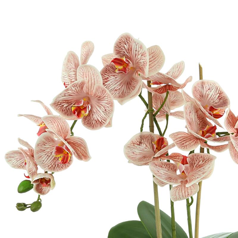 Orchid Floral Arrangement in a Ceramic Bowl