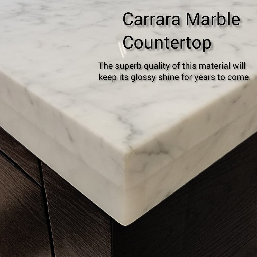 Lexora Abbey Bath Vanity and Carrara Marble Top
