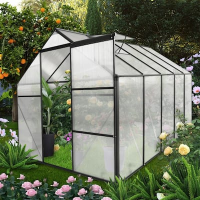 6x10 FT Greenhouse with Raised Base and Anchor